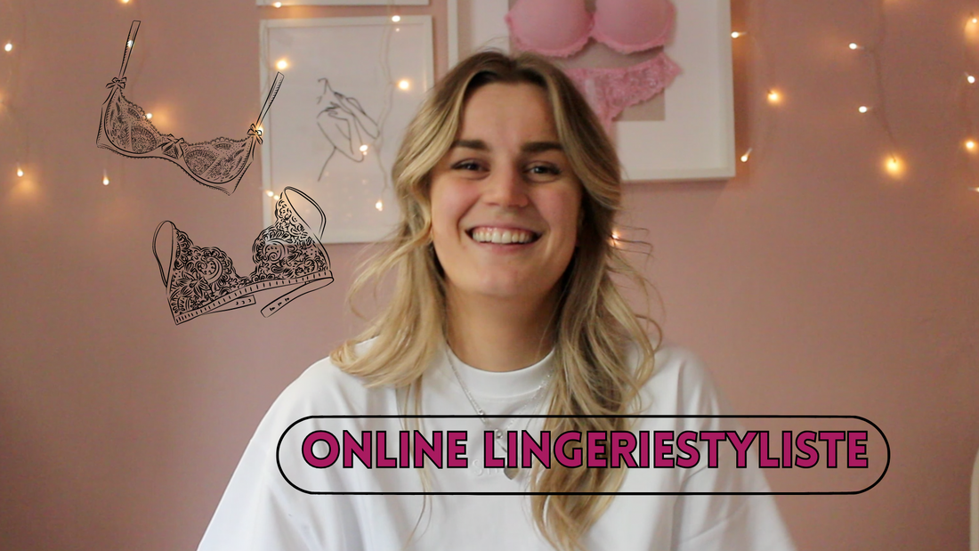 Video: Introductie Video